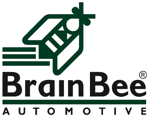 BrainBee