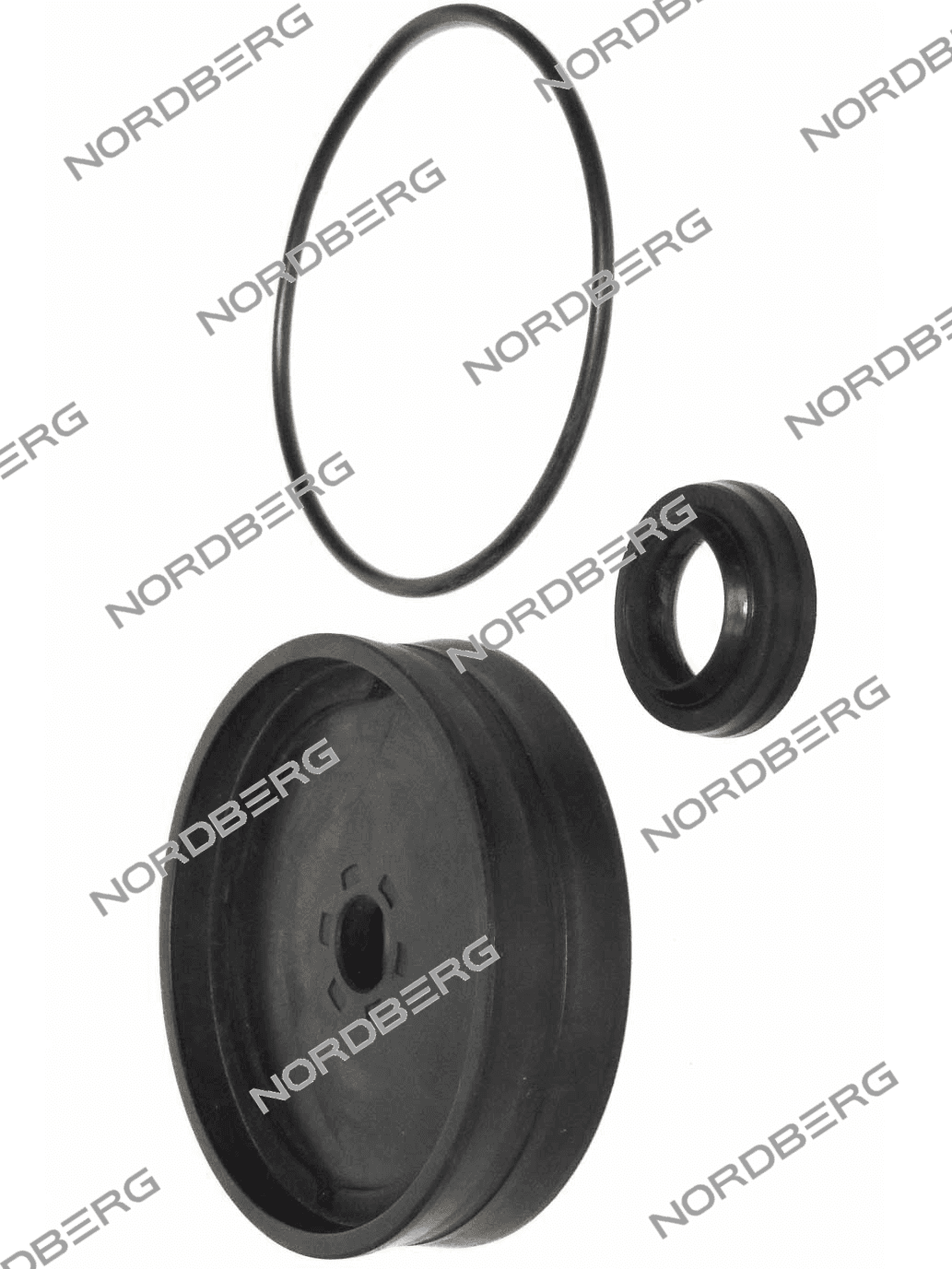 Ремкомплект цилиндра стола NORDBERG CT-Y-4121000 для шиномонтажного станка 4639,5ID